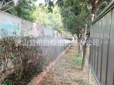 平洲绿化带蚊蝇防治工程